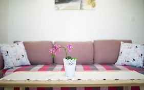 Apartman Mares
